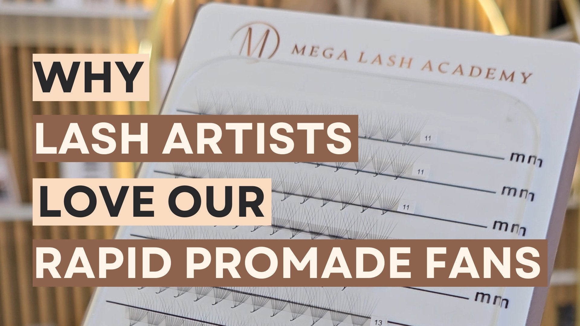 Why Lash Artists Are Loving Our Length Sticker on Rapid Promade Fans® (and You Will Too!)