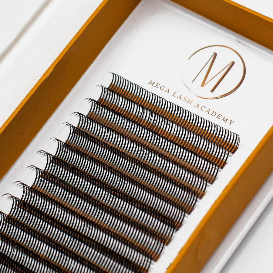Closed Fans - Spikes for Wet Sets - 800 Fans Lash Trays Mega Lash Academy