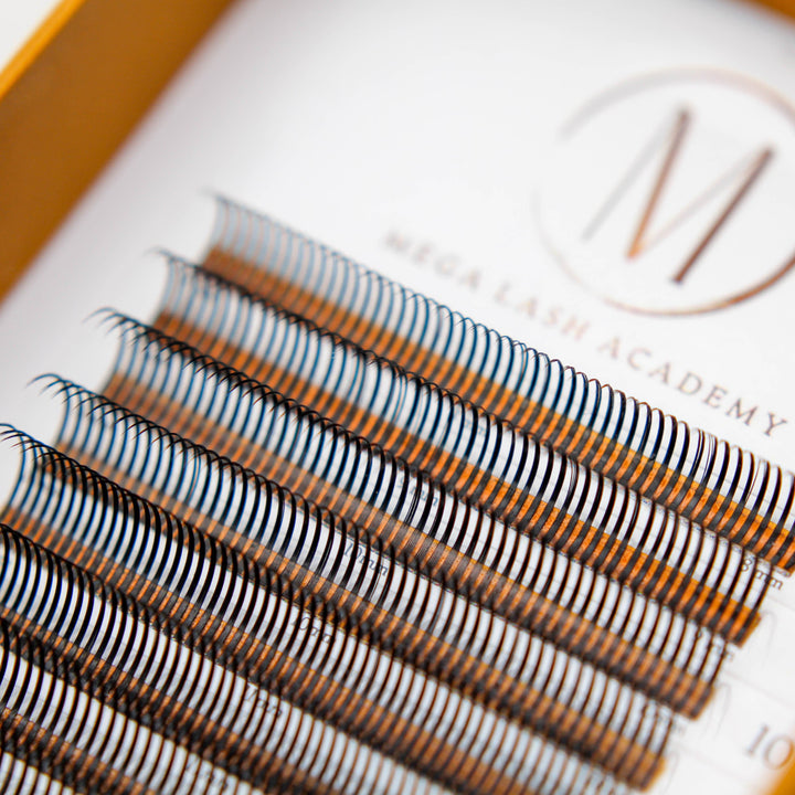 Closed Fans - Spikes for Wet Sets - 800 Fans Lash Trays Mega Lash Academy
