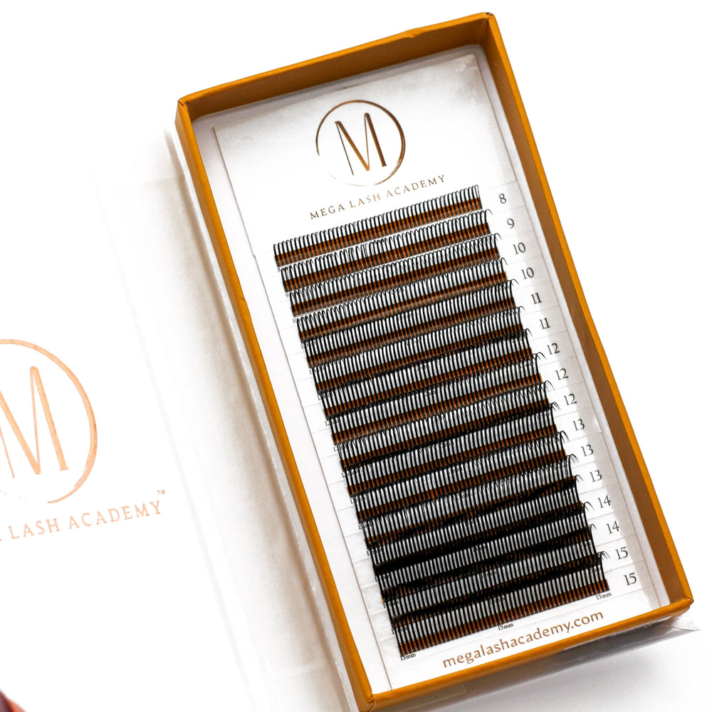 Closed Fans - Spikes for Wet Sets - 800 Fans Lash Trays Mega Lash Academy