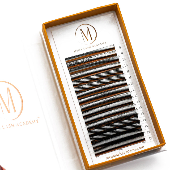Closed Fans - Spikes for Wet Sets - 800 Fans Lash Trays Mega Lash Academy