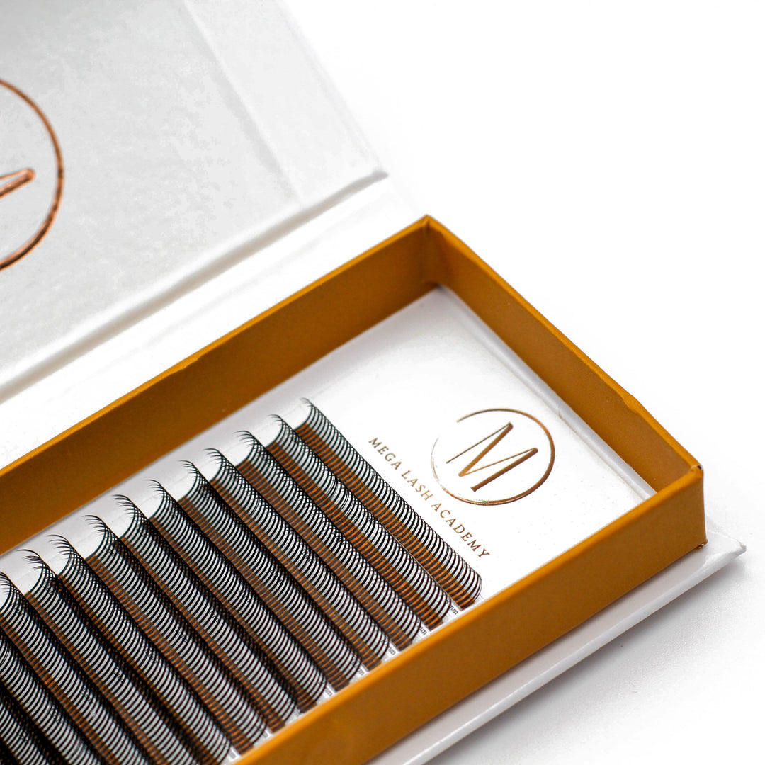 Closed Fans - Spikes for Wet Sets - 800 Fans Lash Trays Mega Lash Academy