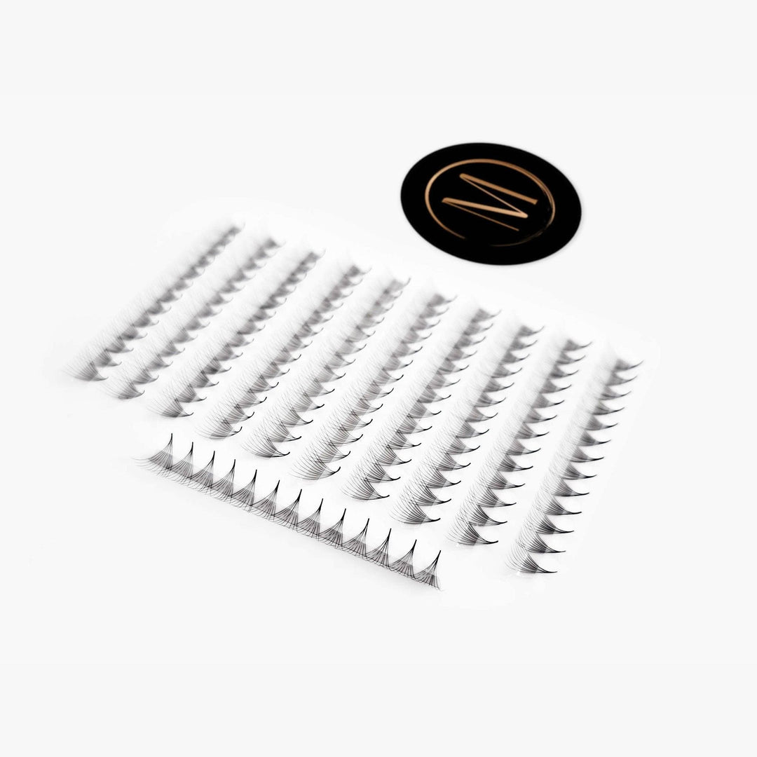 10D Rapid Promade Fans® - 1000 Fans - Mega Lash Academy