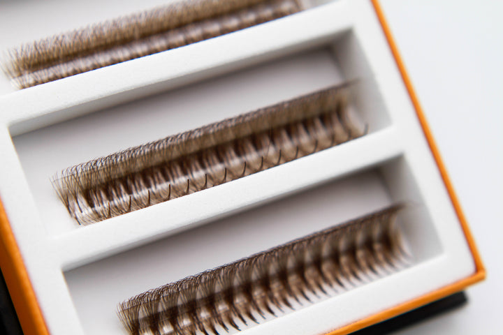 6D Brown Rapid Promade Fans - Caramel Promade Fans Mega Lash Academy