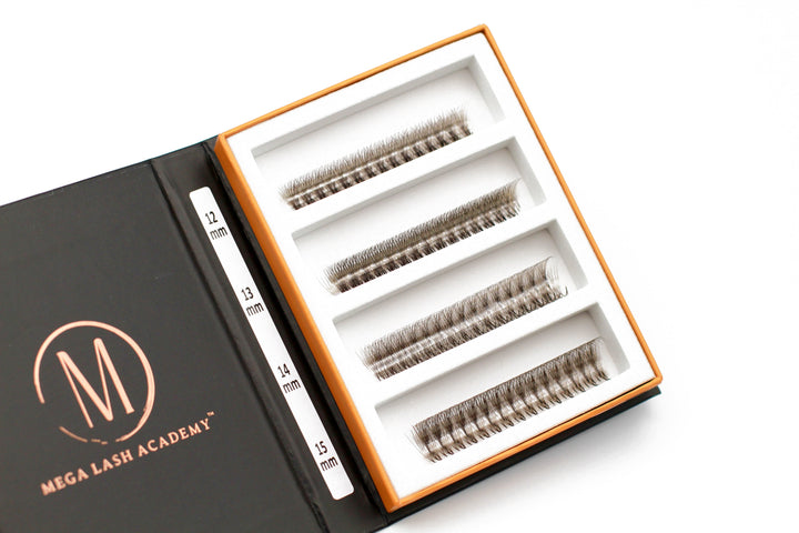 6D Brown Rapid Promade Fans - Caramel Promade Fans Mega Lash Academy