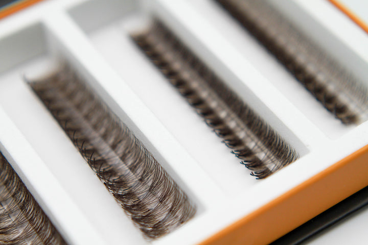 6D Brown Rapid Promade Fans - Coffee Promade Fans Mega Lash Academy