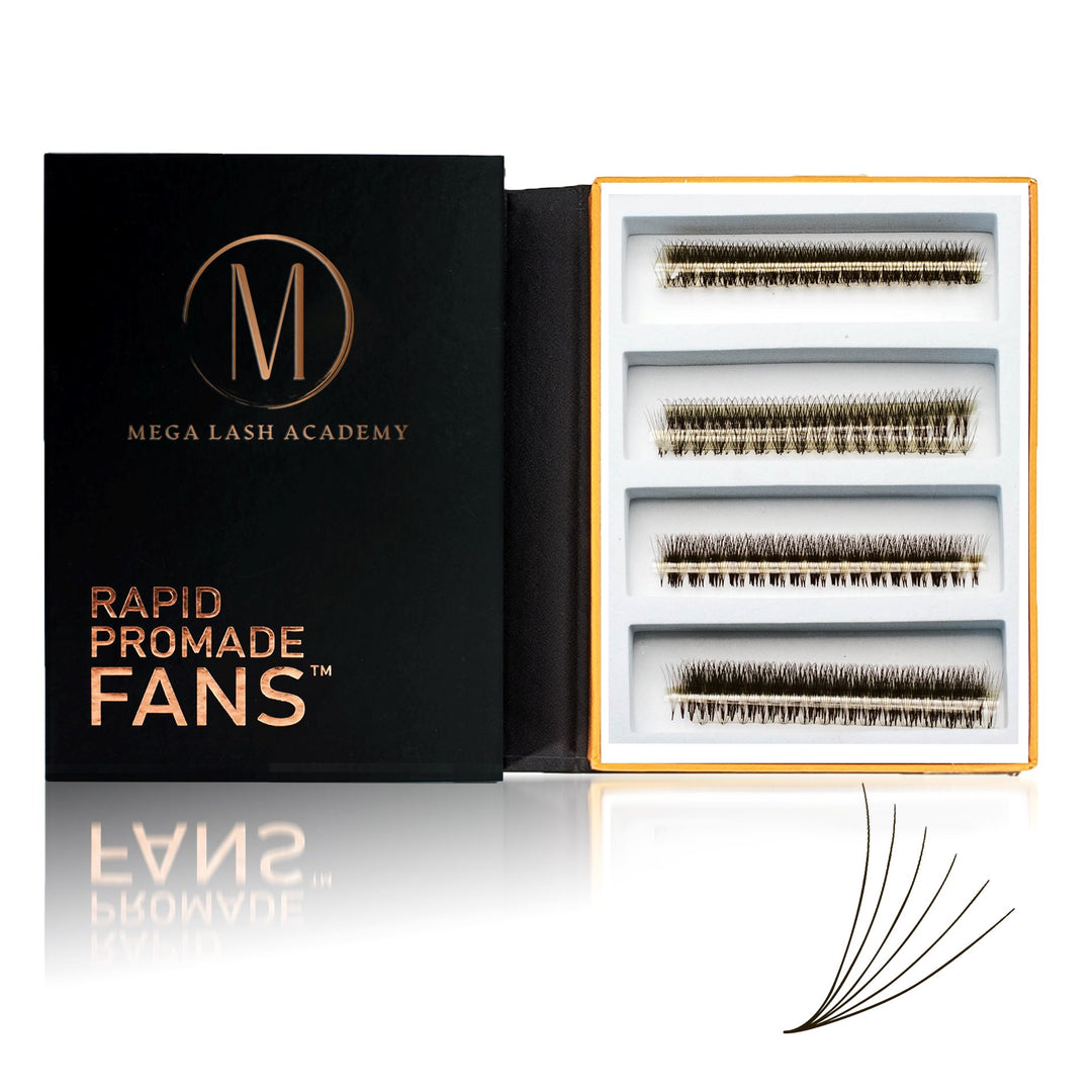 6D Brown Rapid Promade Fans - Coffee Promade Fans Mega Lash Academy 0.07 CC 8-9-10-11