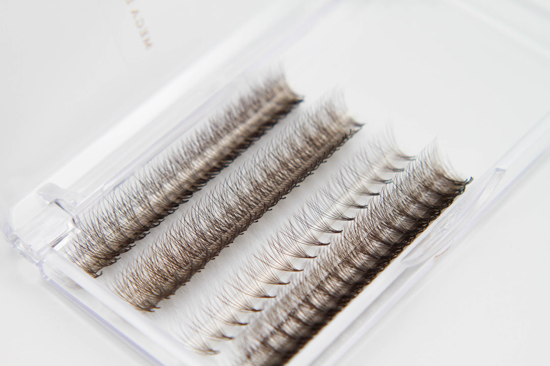 6D Brown Rapid Promade Fans - Coffee Promade Fans Mega Lash Academy 0.07 CC 8