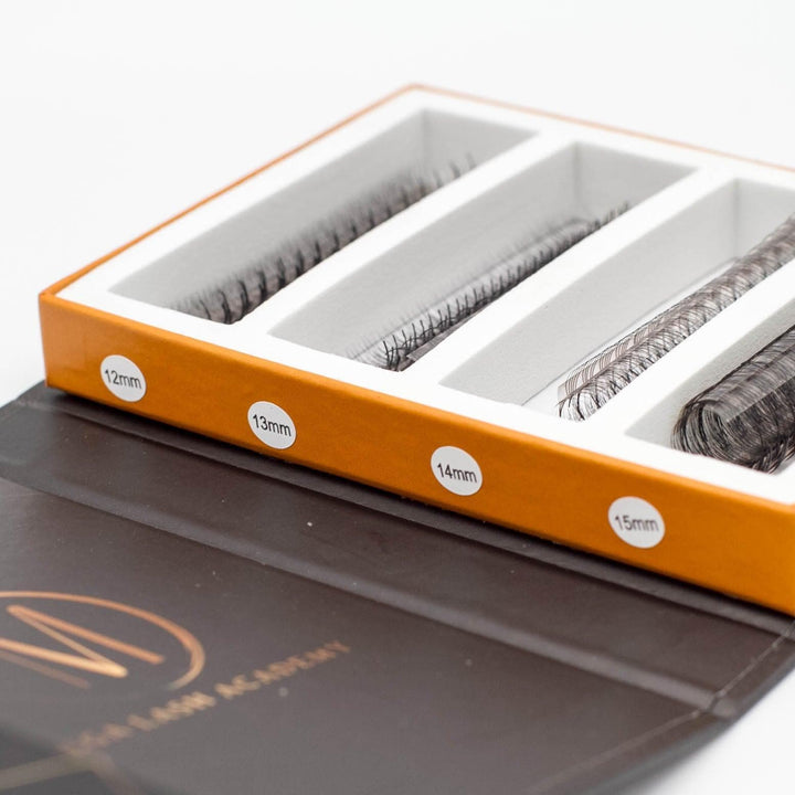6D Mix Rapid Promade Fans® - 1000 Fans - Mega Lash Academy