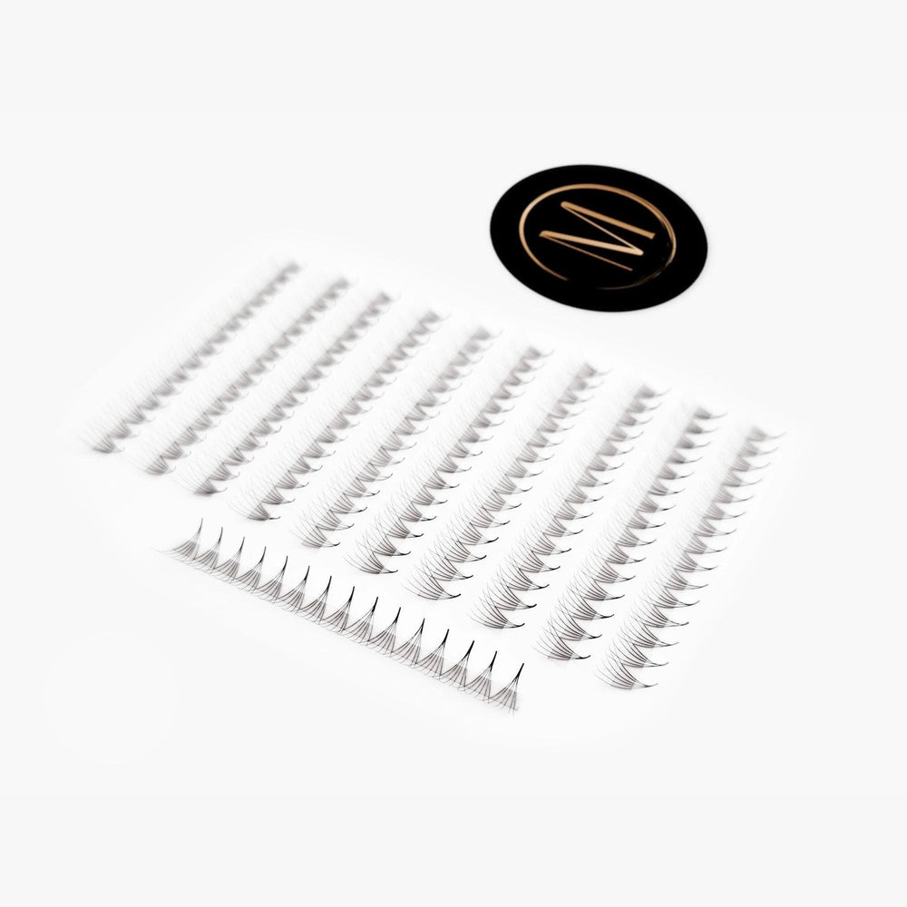 6D Mix Rapid Promade Fans® - 1000 Fans - Mega Lash Academy