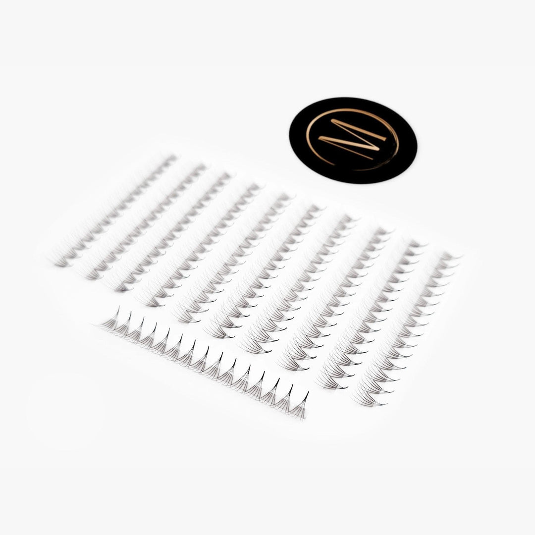 6D Mix Rapid Promade Fans® - 1000 Fans - Mega Lash Academy