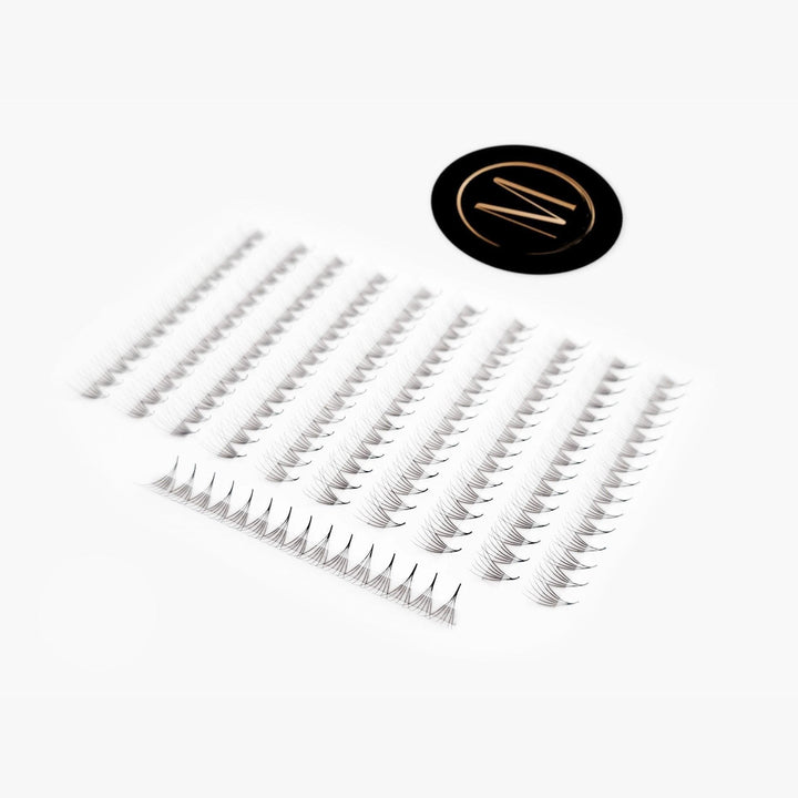 6D Mix Rapid Promade Fans® - 1000 Fans - Mega Lash Academy