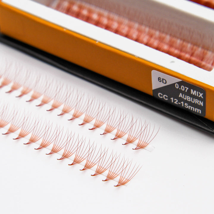 Auburn Brown 6D Rapid Promade Fans - 600 Fans Promade Fans Mega Lash Academy 