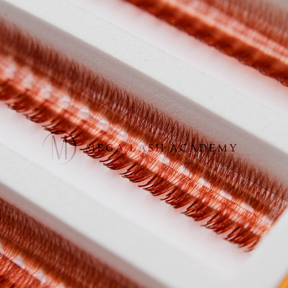 Auburn Brown 6D Rapid Promade Fans - 600 Fans Promade Fans Mega Lash Academy