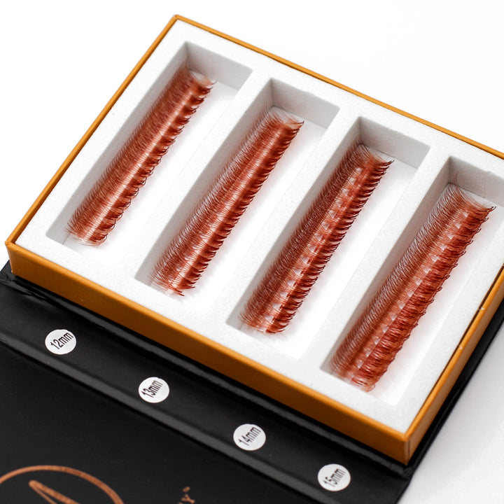 Auburn Brown 6D Rapid Promade Fans - 600 Fans Promade Fans Mega Lash Academy
