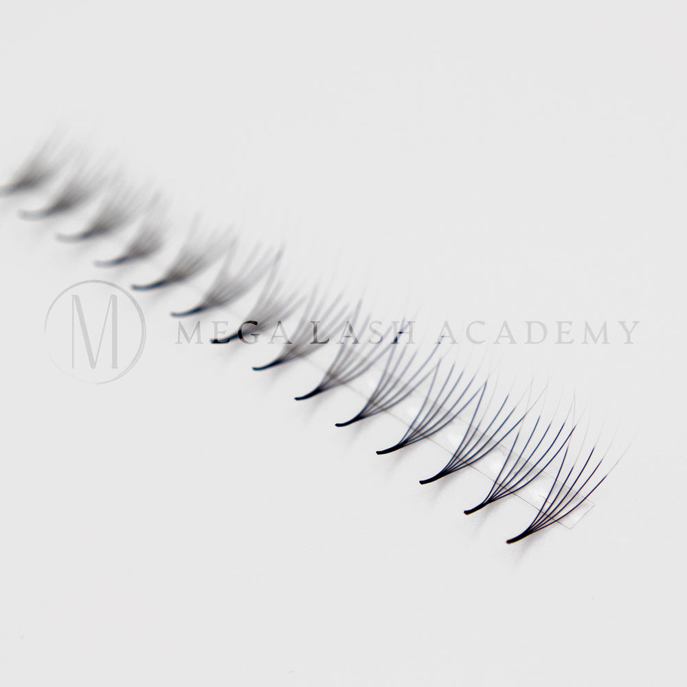 Black/White Ombré 5D Rapid Promade Fans - 600 Fans Promade Fans Mega Lash Academy