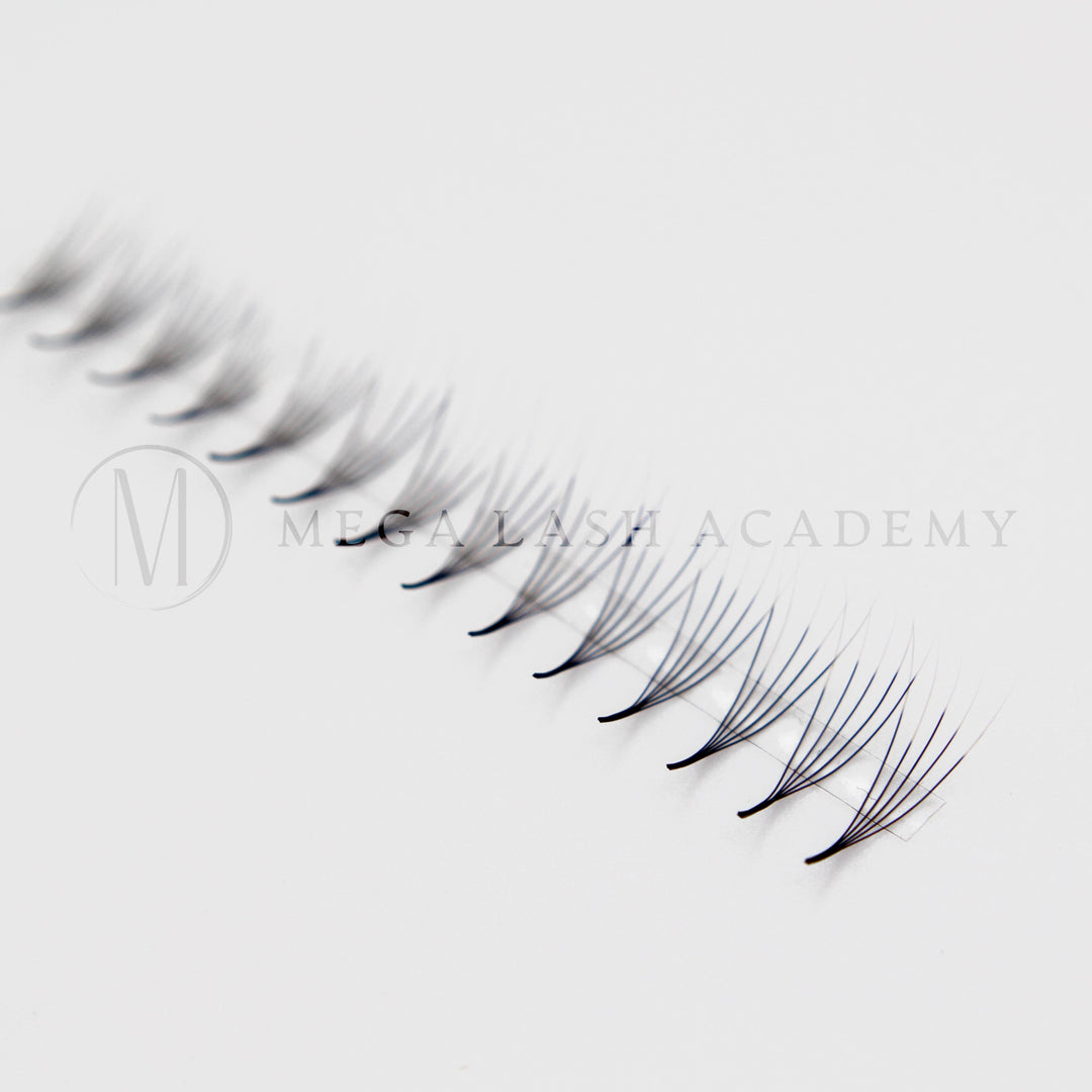 Black/White Ombré 5D Rapid Promade Fans - 600 Fans Promade Fans Mega Lash Academy