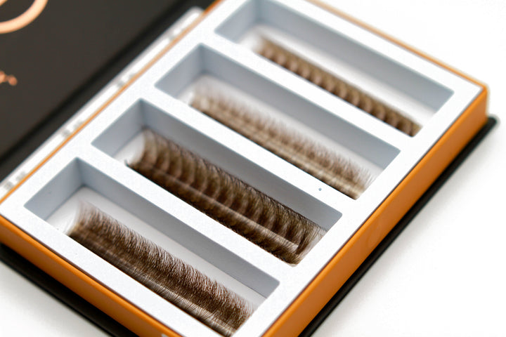 Brown 10D Rapid Promade Fans - 600 Fans Promade Fans Mega Lash Academy
