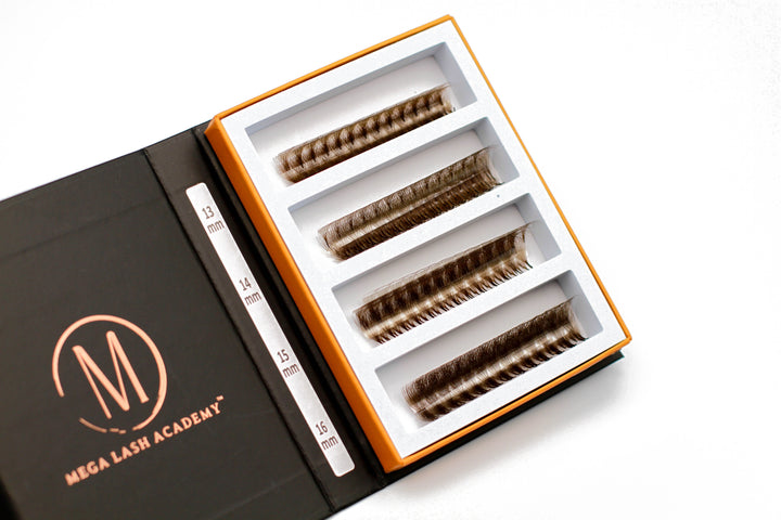 Brown 10D Rapid Promade Fans - 600 Fans Promade Fans Mega Lash Academy