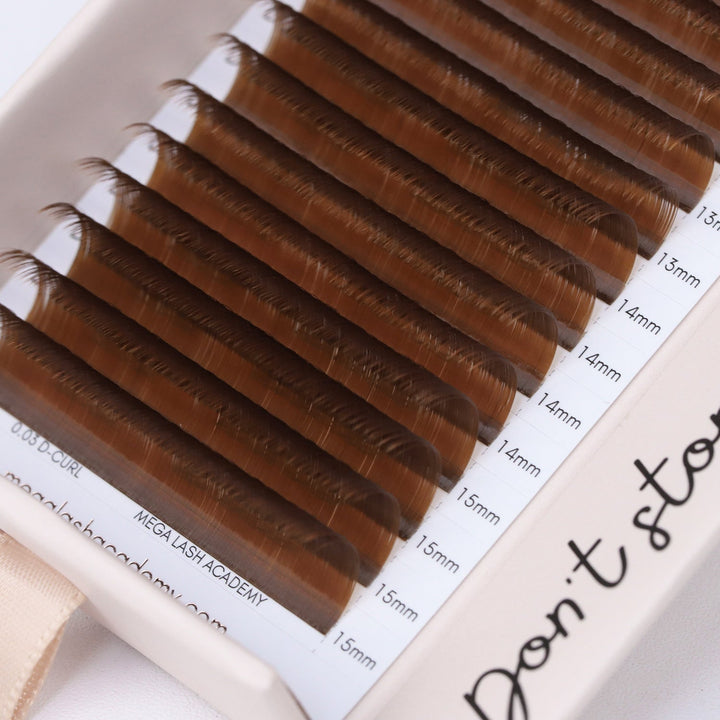 Brown Cashmere Volume - Caramel Lash Trays Mega Lash Academy