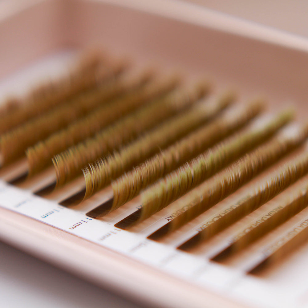 Brown Dual-Tip Flat Lash - Latte Lash Trays Mega Lash Academy