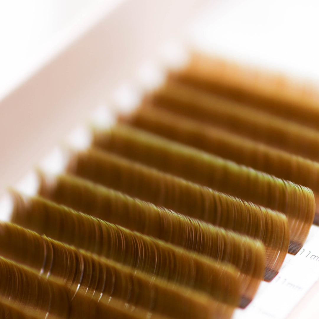 Brown Dual-Tip Flat Lash - Latte Lash Trays Mega Lash Academy