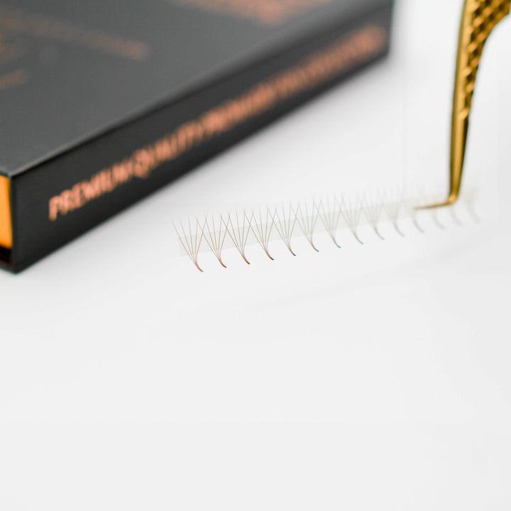 Brown M and L Curl 5D Rapid Promade Fans - 600 Fans Promade Fans Mega Lash Academy