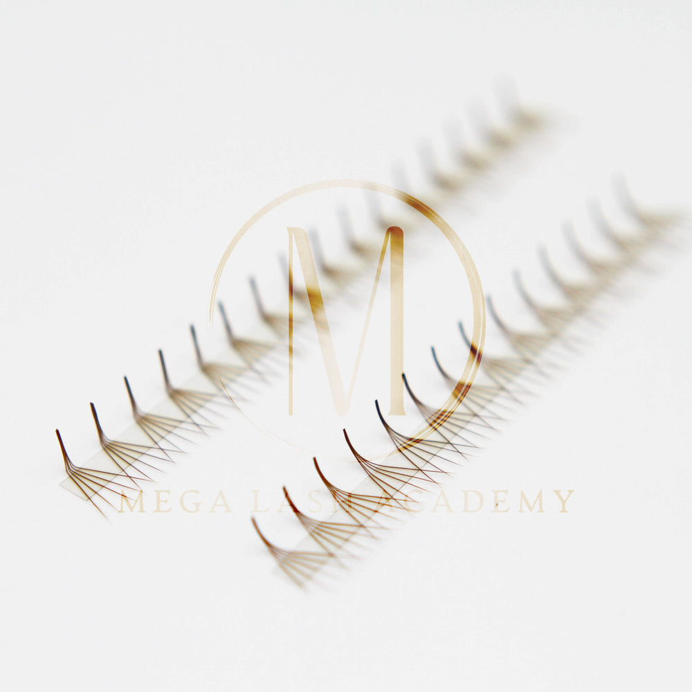Brown M and L Curl 5D Rapid Promade Fans - 600 Fans Promade Fans Mega Lash Academy
