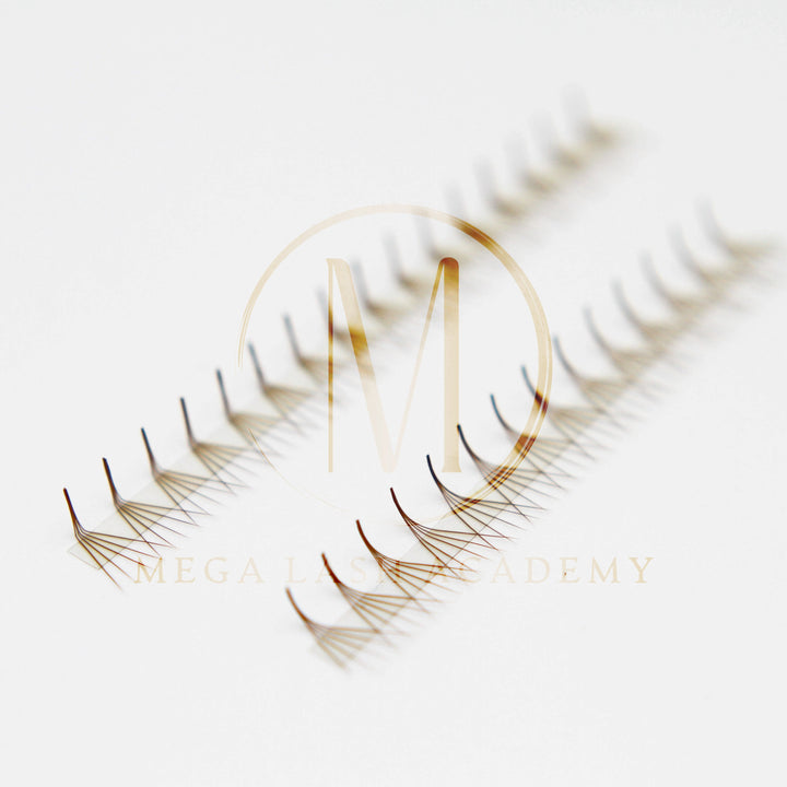 Brown M and L Curl 5D Rapid Promade Fans - 600 Fans Promade Fans Mega Lash Academy