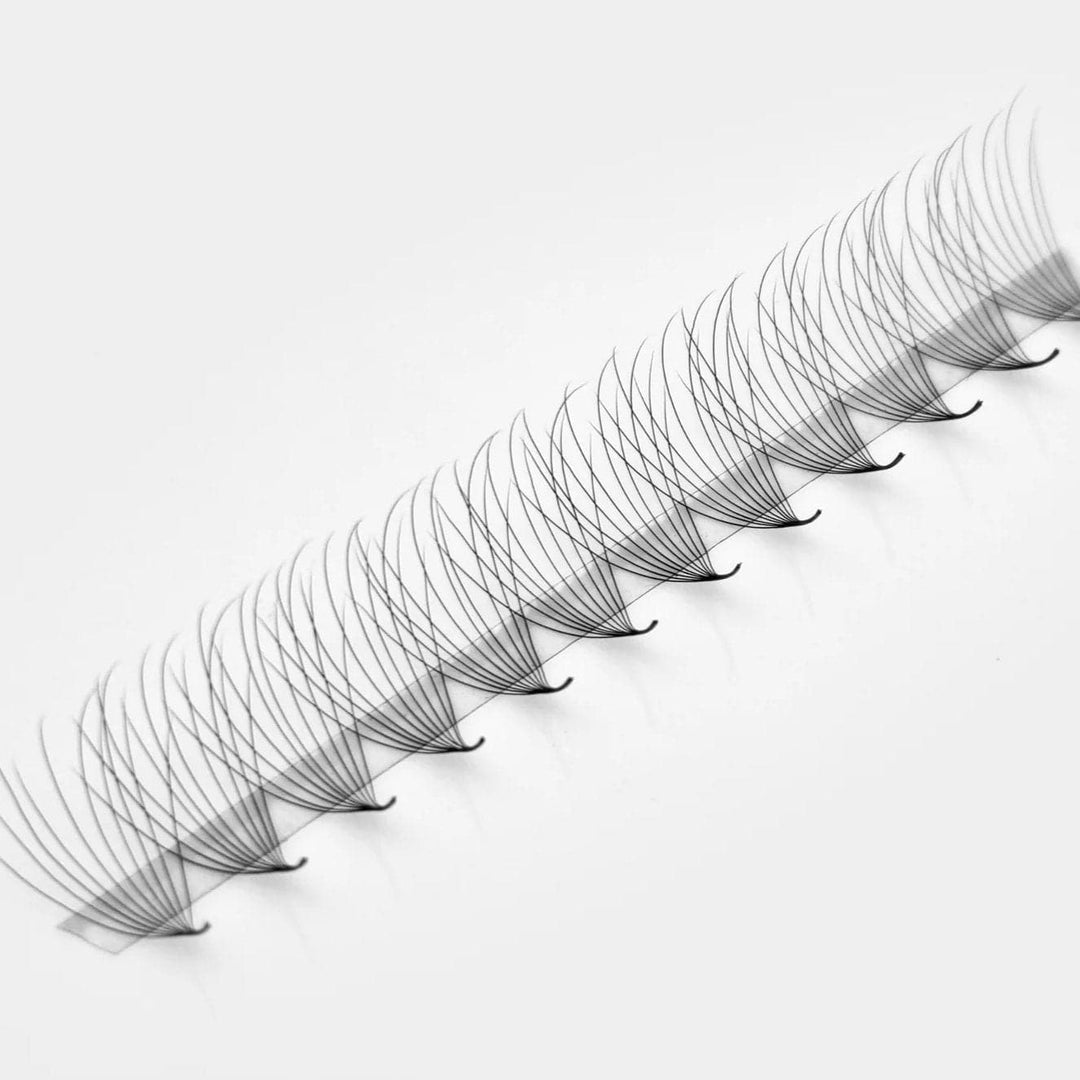 Camellia 10D Rapid Promade Fans® - Mega Lash Academy