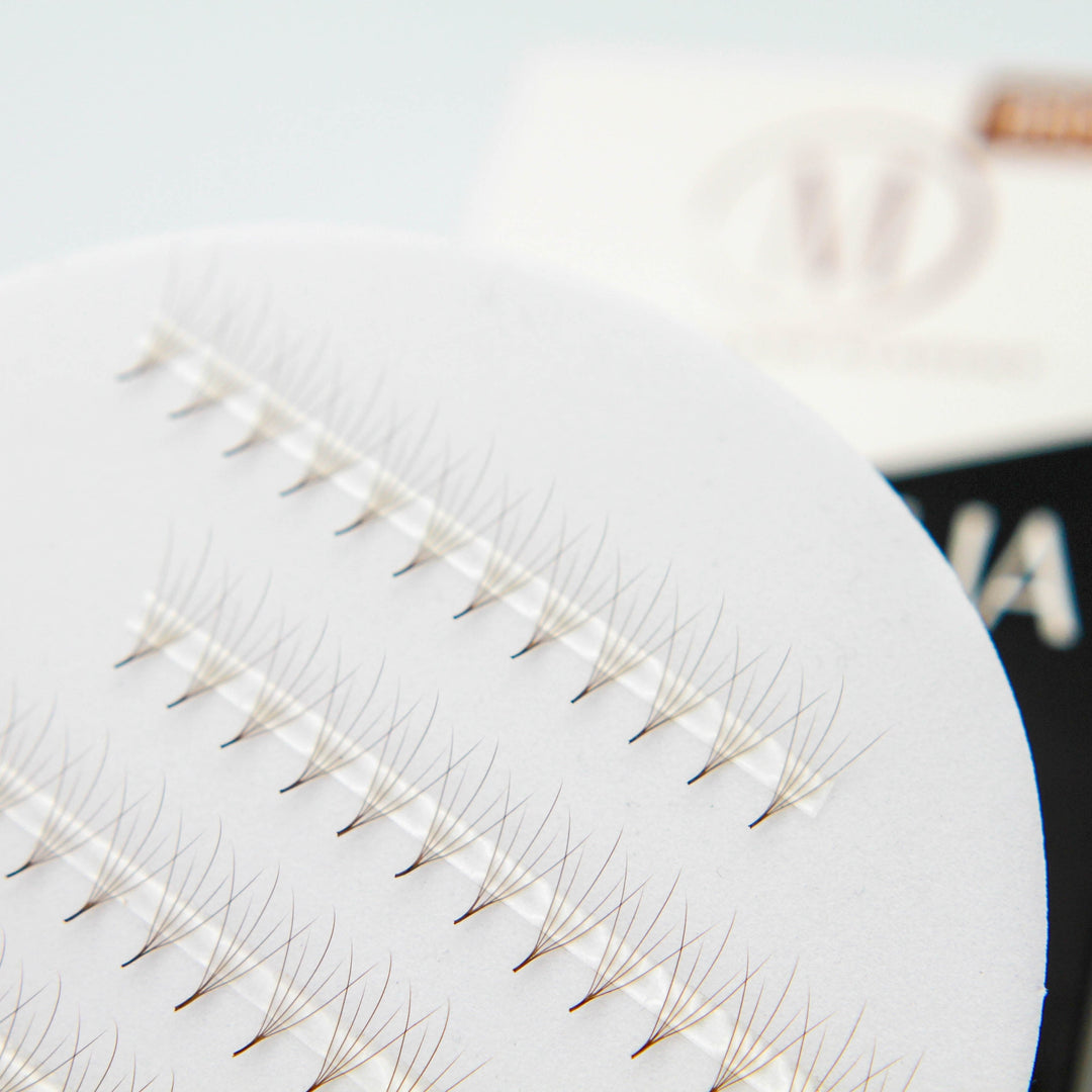 Camellia 5D Rapid Promade Fans® - Brown Promade Fans Mega Lash Academy