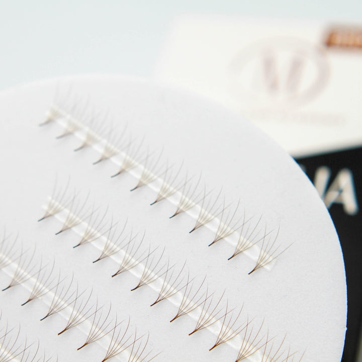 Camellia 5D Rapid Promade Fans® - Brown Promade Fans Mega Lash Academy