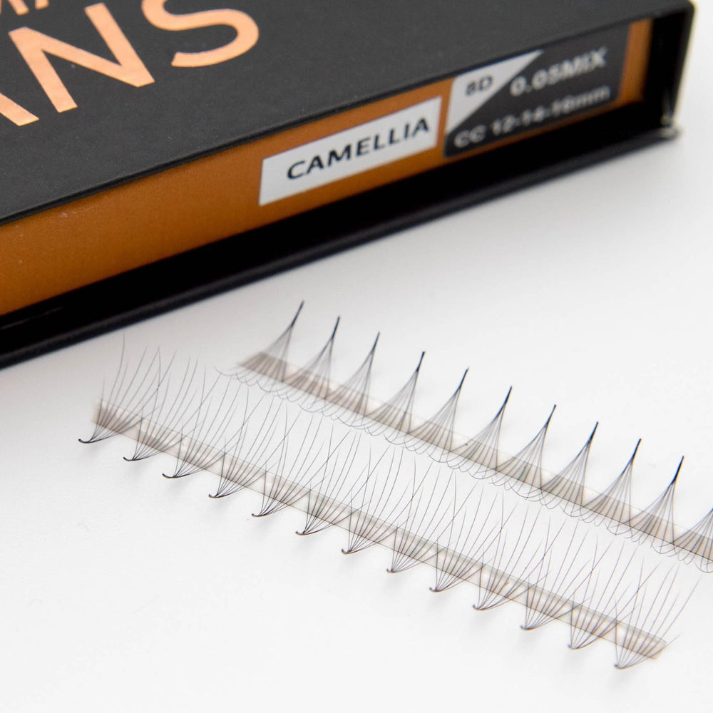 Camellia 8D Rapid Promade Fans® - Mega Lash Academy