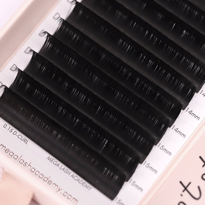 Classic Lash Tray Lash Trays Mega Lash Academy
