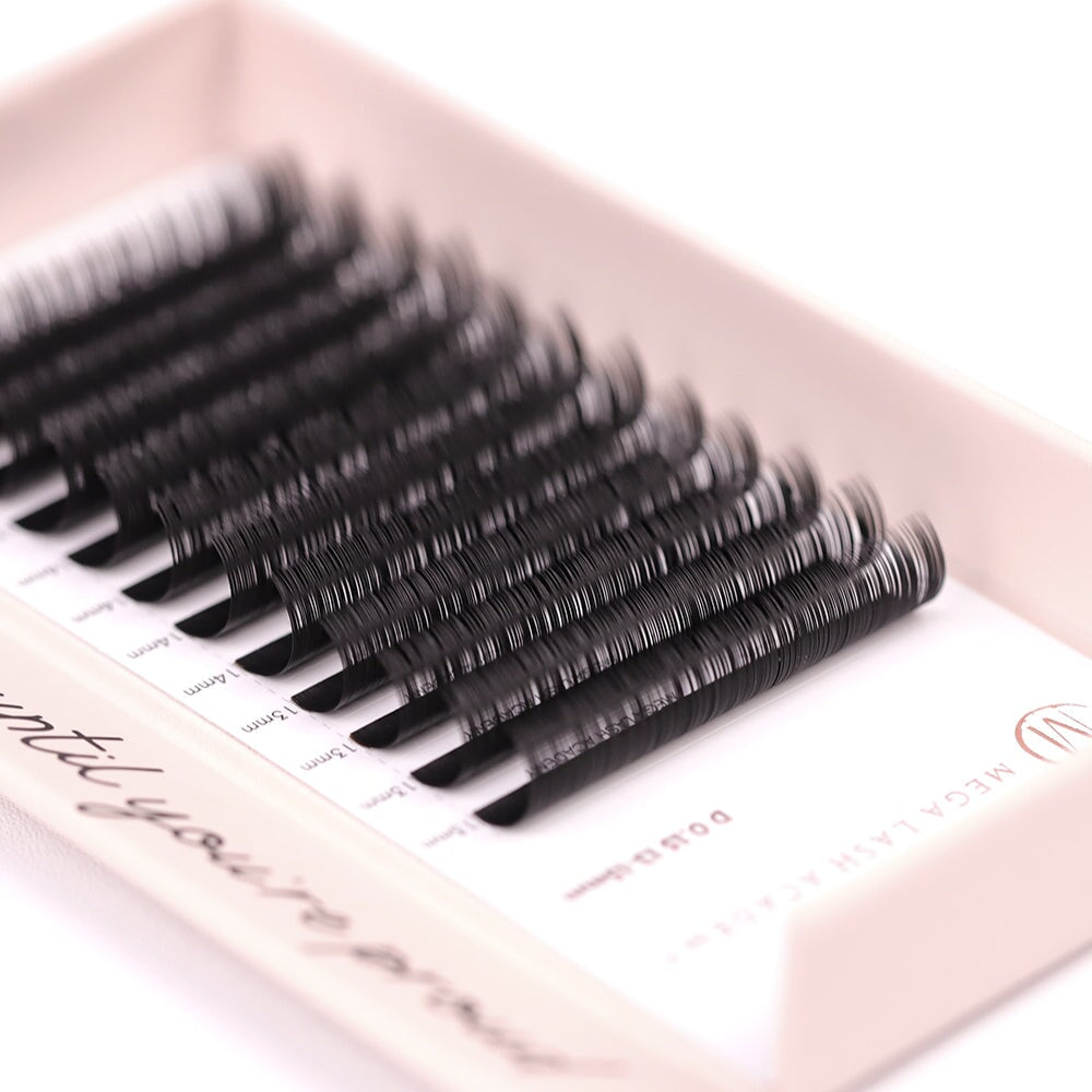 Classic Lash Tray Lash Trays Mega Lash Academy