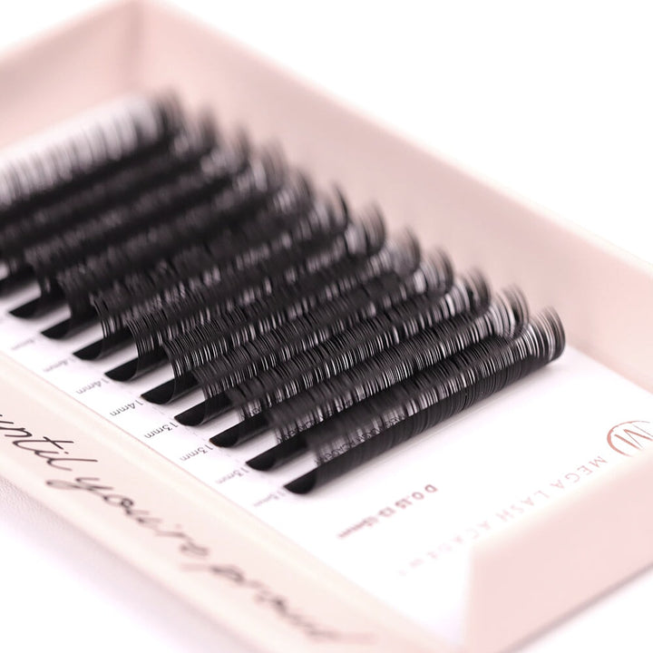 Classic Lash Tray Lash Trays Mega Lash Academy