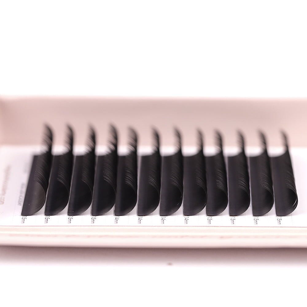 Classic Lash Tray Lash Trays Mega Lash Academy