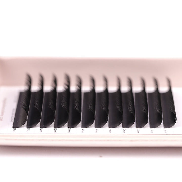 Classic Lash Tray Lash Trays Mega Lash Academy