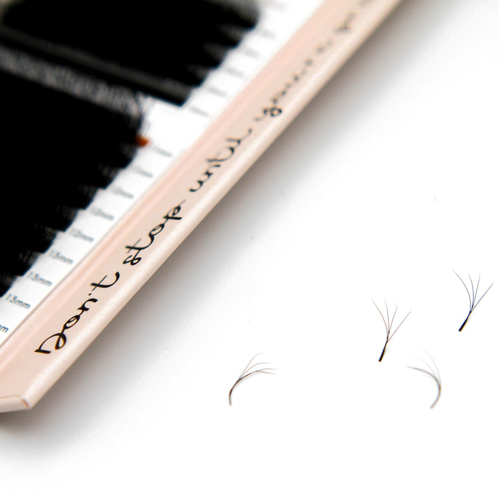 Clover Lash Tray Mega Lash Academy