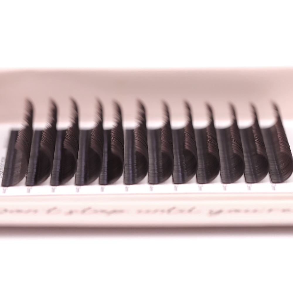 Dark Brown Classic Lash Tray Lash Trays Mega Lash Academy
