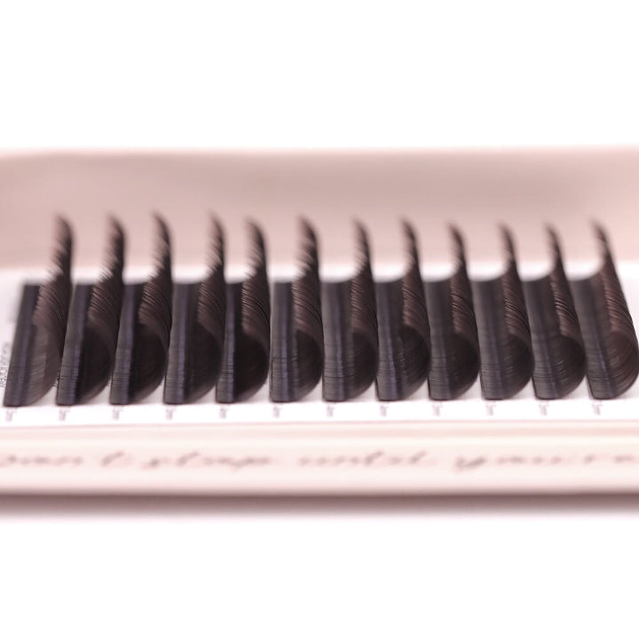 Dark Brown Classic Lash Tray Lash Trays Mega Lash Academy 