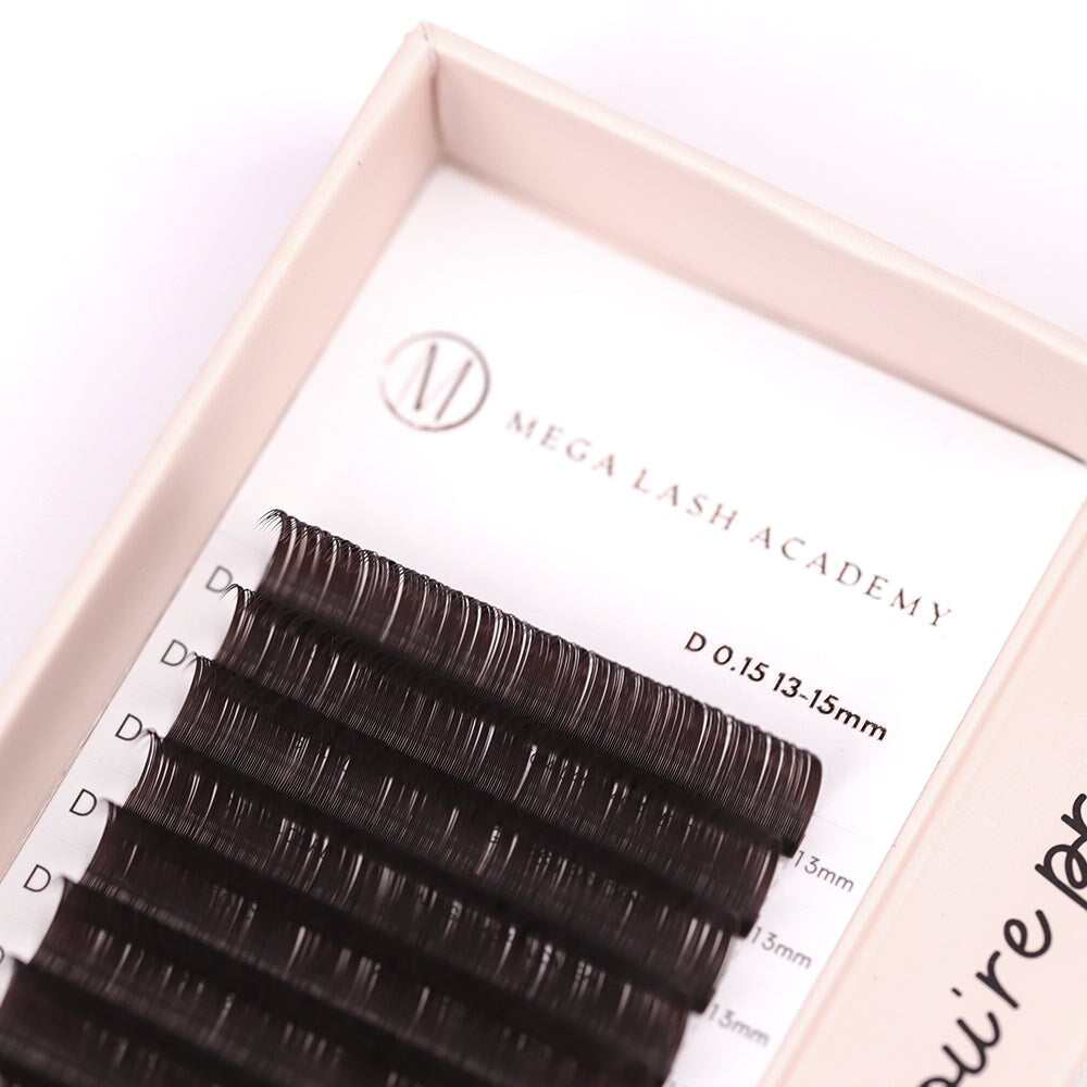 Dark Brown Classic Lash Tray Lash Trays Mega Lash Academy 