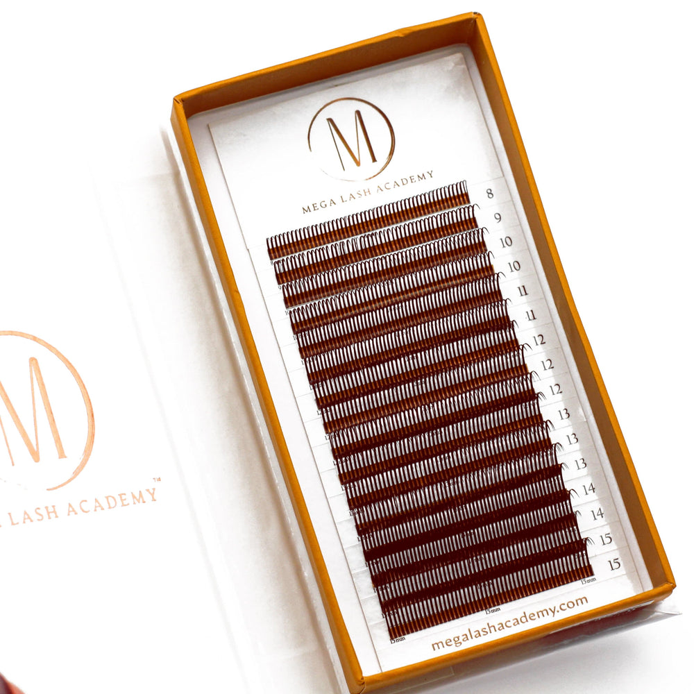 brown closed fan wet lash look mega lash academy