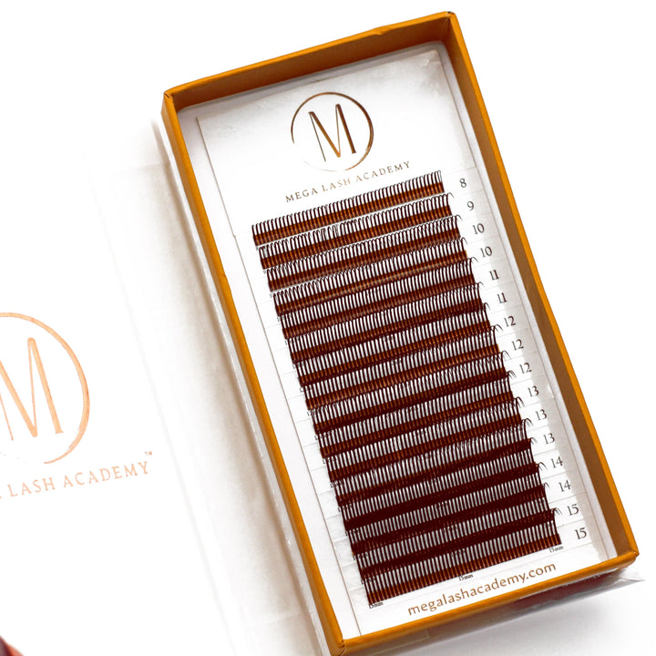 brown closed fan wet lash look mega lash academy