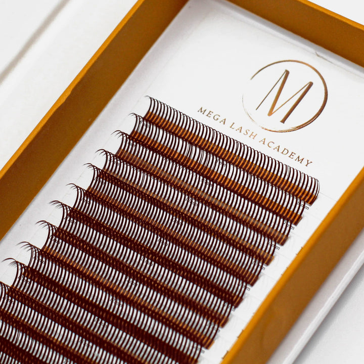 brown closed fan brown spikes wispy wet lash look mega lash academy