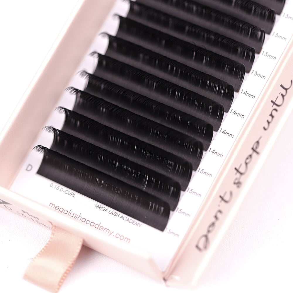 Flat Lash Lash Trays Mega Lash Academy