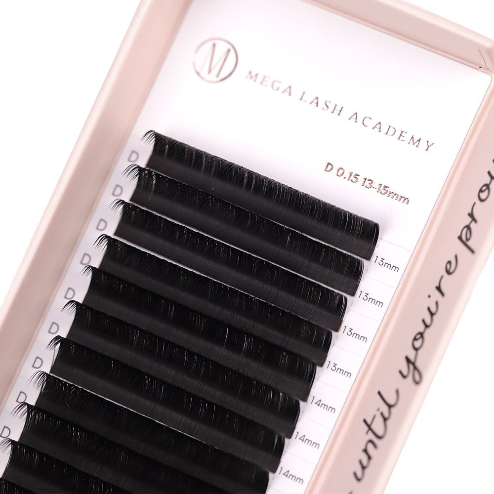 Flat Lash Lash Trays Mega Lash Academy