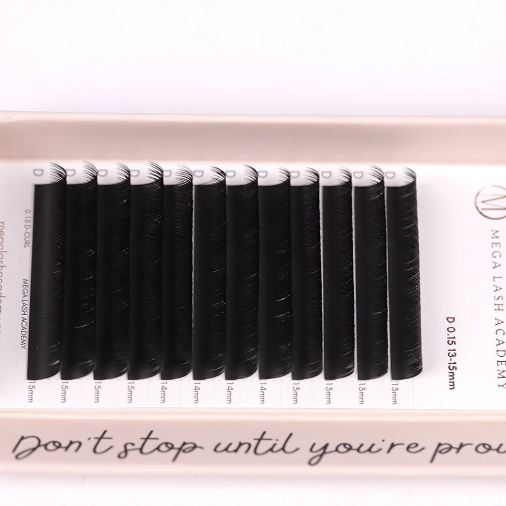 Flat Lash Lash Trays Mega Lash Academy
