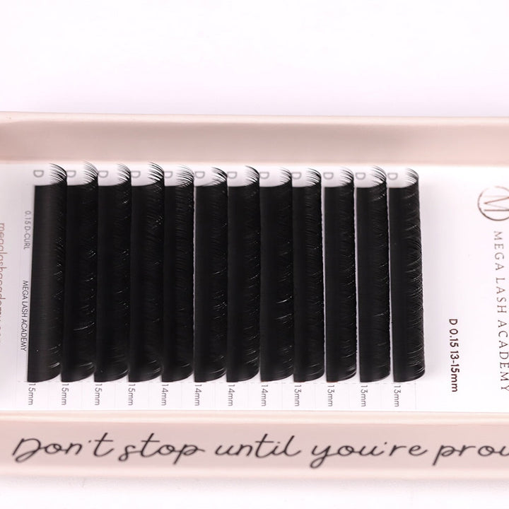 Flat Lash Lash Trays Mega Lash Academy