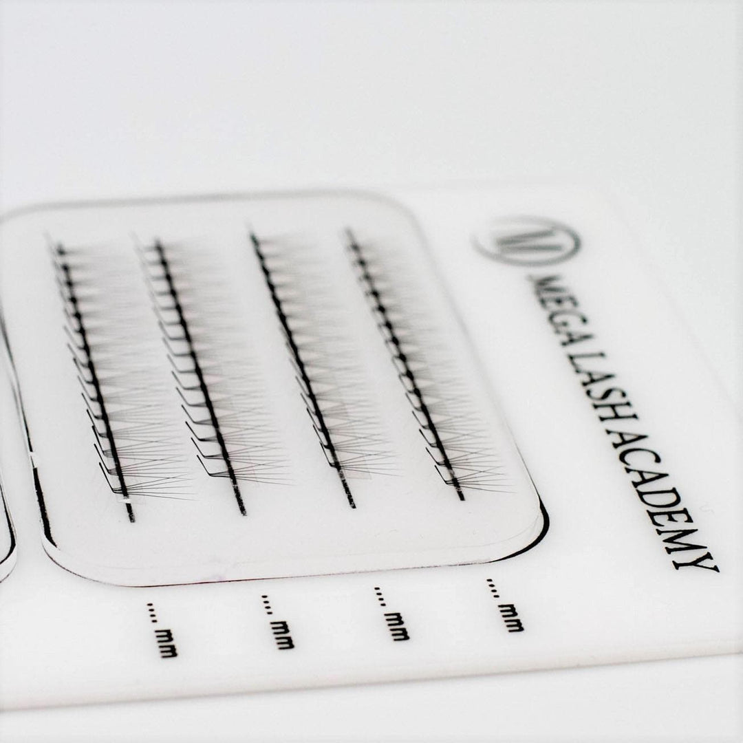 L Curl 5D Rapid Promade Fans - 600 Fans - Mega Lash Academy
